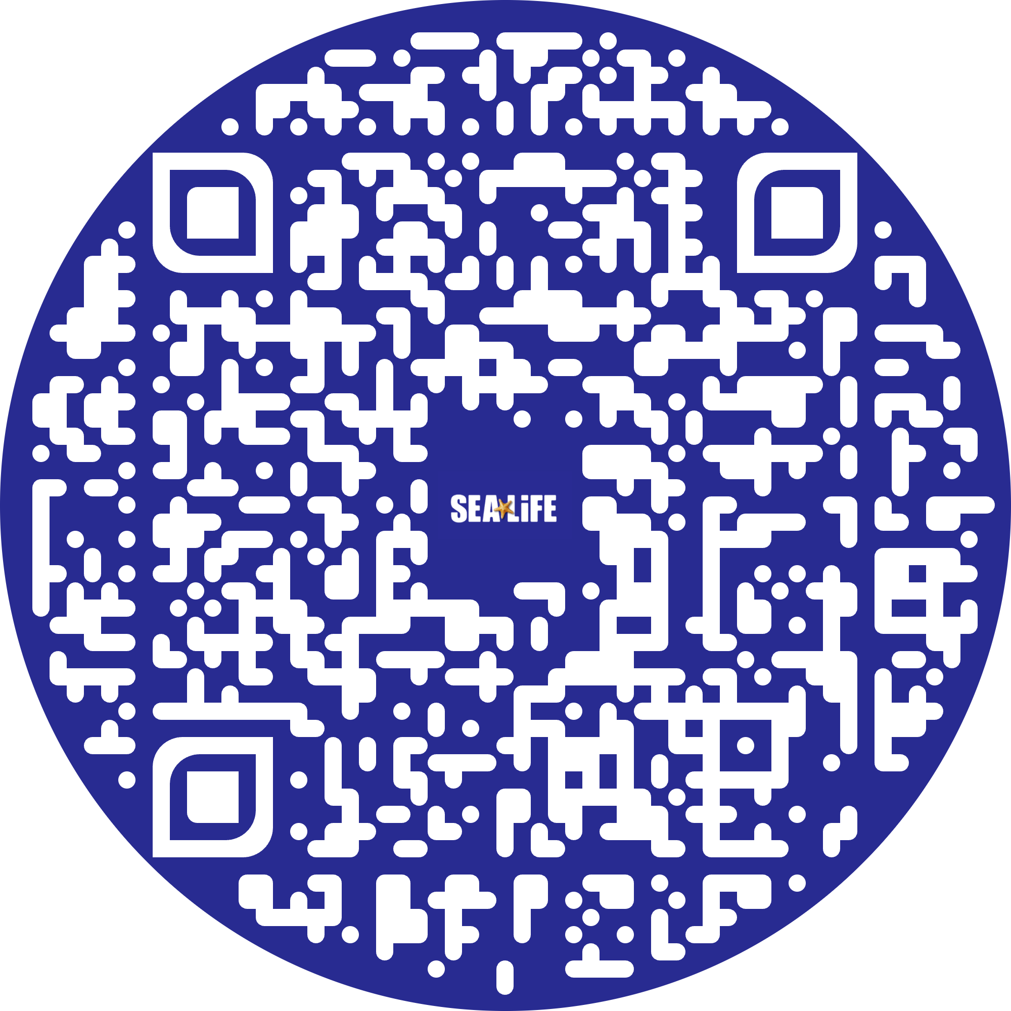 QR 4